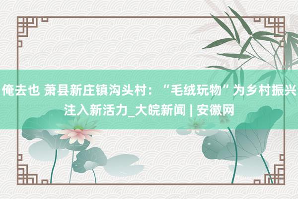 俺去也 萧县新庄镇沟头村：“毛绒玩物”为乡村振兴注入新活力_大皖新闻 | 安徽网