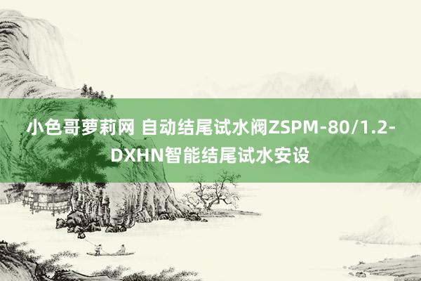 小色哥萝莉网 自动结尾试水阀ZSPM-80/1.2-DXHN智能结尾试水安设