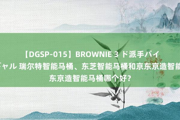 【DGSP-015】BROWNIE 3 ド派手パイパン強め黒ギャル 瑞尔特智能马桶、东芝智能马桶和京东京造智能马桶哪个好？