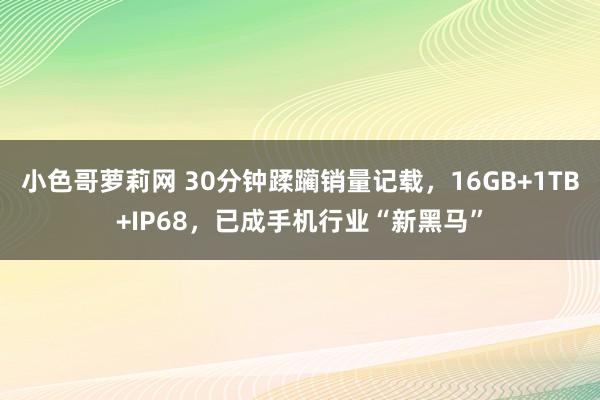 小色哥萝莉网 30分钟蹂躏销量记载，16GB+1TB+IP68，已成手机行业“新黑马”