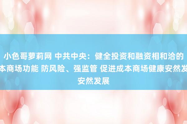 小色哥萝莉网 中共中央：健全投资和融资相和洽的成本商场功能 防风险、强监管 促进成本商场健康安然发展