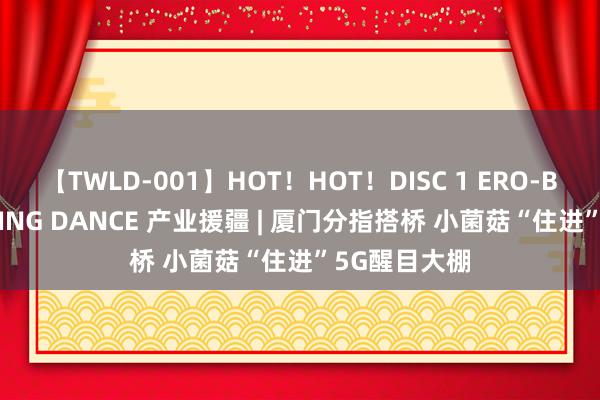 【TWLD-001】HOT！HOT！DISC 1 ERO-BODY BURNING DANCE 产业援疆 | 厦门分指搭桥 小菌菇“住进”5G醒目大棚