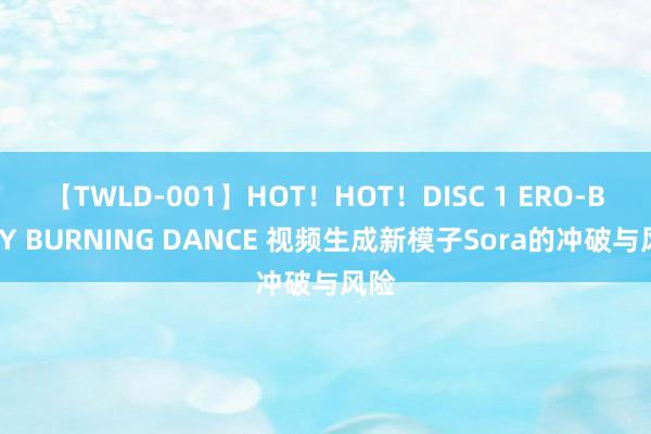 【TWLD-001】HOT！HOT！DISC 1 ERO-BODY BURNING DANCE 视频生成新模子Sora的冲破与风险