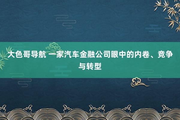 大色哥导航 一家汽车金融公司眼中的内卷、竞争与转型