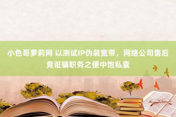 小色哥萝莉网 以测试IP伪装宽带，网络公司售后竟诳骗职务之便中饱私囊