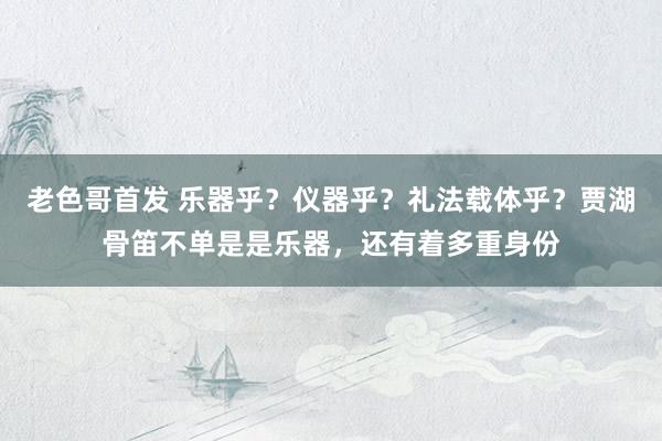 老色哥首发 乐器乎？仪器乎？礼法载体乎？贾湖骨笛不单是是乐器，还有着多重身份