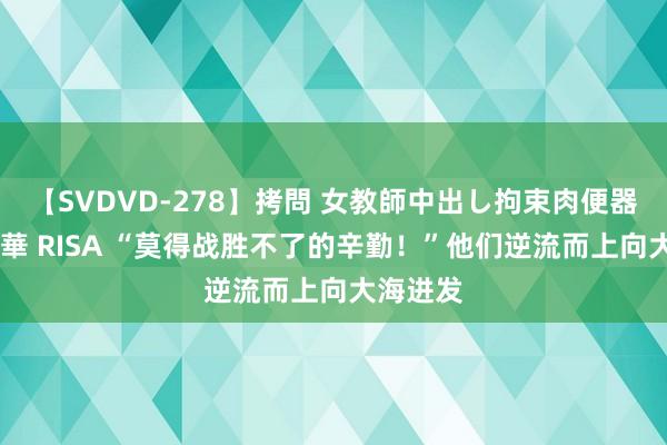 【SVDVD-278】拷問 女教師中出し拘束肉便器 仁科百華 RISA “莫得战胜不了的辛勤！”他们逆流而上向大海进发