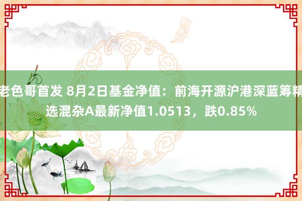 老色哥首发 8月2日基金净值：前海开源沪港深蓝筹精选混杂A最新净值1.0513，跌0.85%