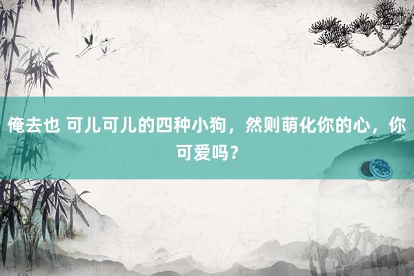 俺去也 可儿可儿的四种小狗，然则萌化你的心，你可爱吗？