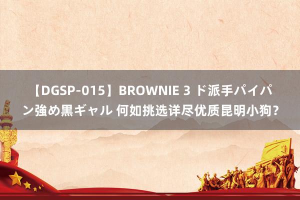 【DGSP-015】BROWNIE 3 ド派手パイパン強め黒ギャル 何如挑选详尽优质昆明小狗？