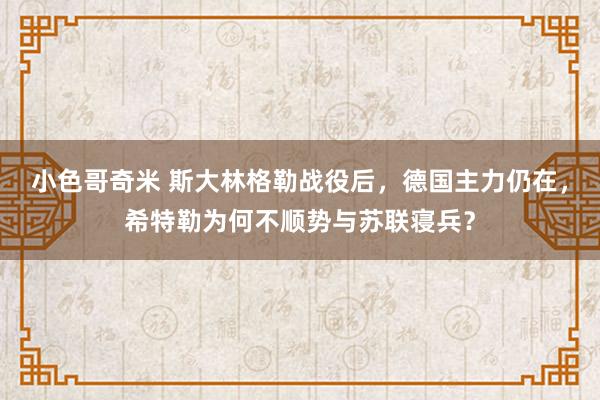 小色哥奇米 斯大林格勒战役后，德国主力仍在，希特勒为何不顺势与苏联寝兵？