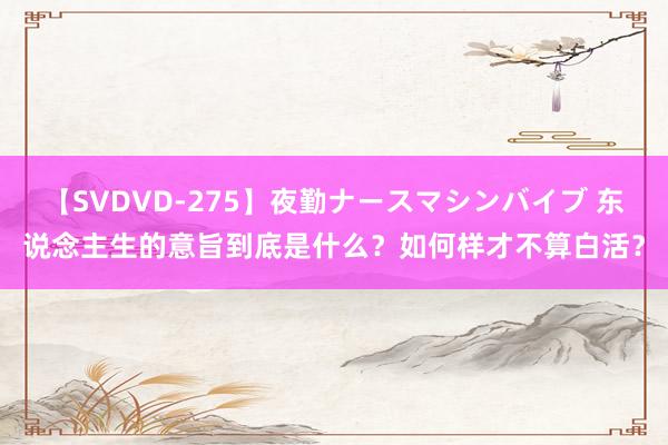 【SVDVD-275】夜勤ナースマシンバイブ 东说念主生的意旨到底是什么？如何样才不算白活？