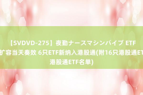 【SVDVD-275】夜勤ナースマシンバイブ ETF南向通扩容当天奏效 6只ETF新纳入港股通(附16只港股通ETF名单)