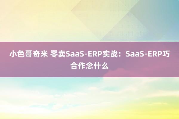 小色哥奇米 零卖SaaS-ERP实战：SaaS-ERP巧合作念什么