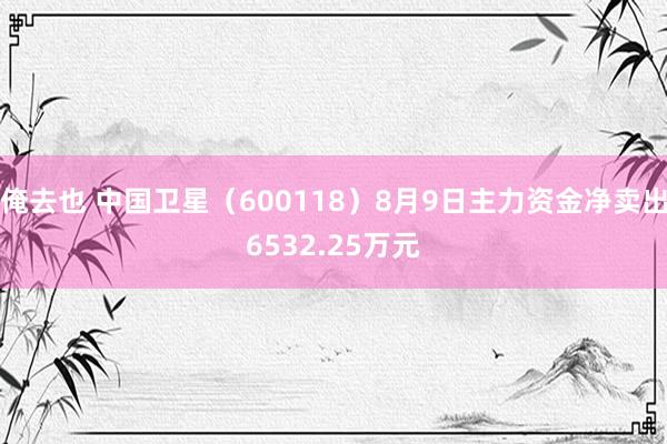 俺去也 中国卫星（600118）8月9日主力资金净卖出6532.25万元