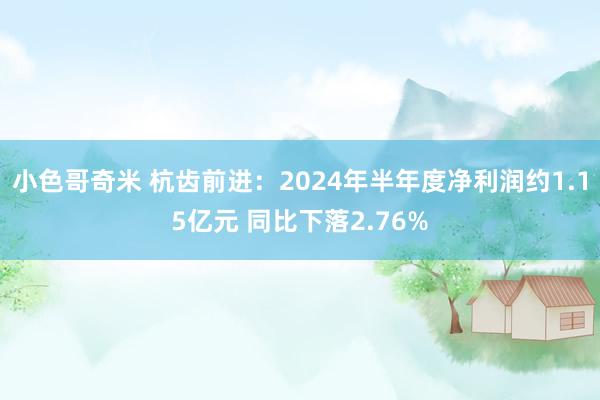 小色哥奇米 杭齿前进：2024年半年度净利润约1.15亿元 同比下落2.76%