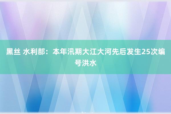 黑丝 水利部：本年汛期大江大河先后发生25次编号洪水