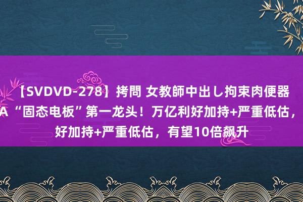 【SVDVD-278】拷問 女教師中出し拘束肉便器 仁科百華 RISA “固态电板”第一龙头！万亿利好加持+严重低估，有望10倍飙升