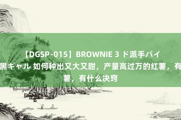 【DGSP-015】BROWNIE 3 ド派手パイパン強め黒ギャル 如何种出又大又甜，产量高过万的红薯，有什么决窍