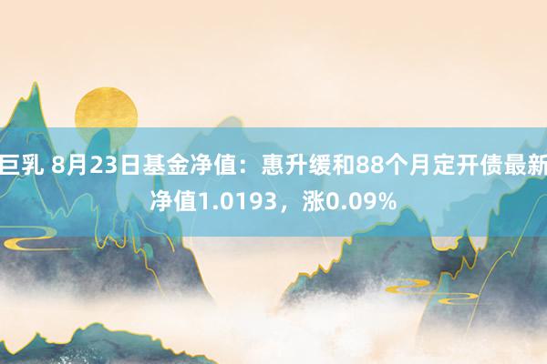 巨乳 8月23日基金净值：惠升缓和88个月定开债最新净值1.0193，涨0.09%