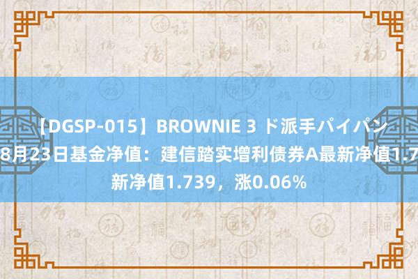 【DGSP-015】BROWNIE 3 ド派手パイパン強め黒ギャル 8月23日基金净值：建信踏实增利债券A最新净值1.739，涨0.06%