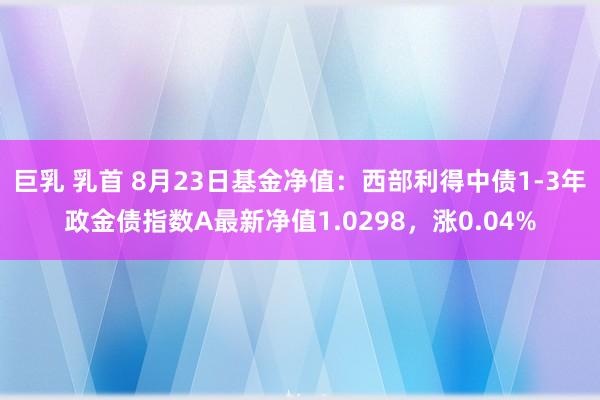 巨乳 乳首 8月23日基金净值：西部利得中债1-3年政金债指数A最新净值1.0298，涨0.04%