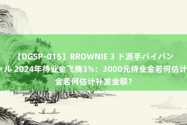 【DGSP-015】BROWNIE 3 ド派手パイパン強め黒ギャル 2024年待业金飞腾3%：3000元待业金若何估计补发金额？