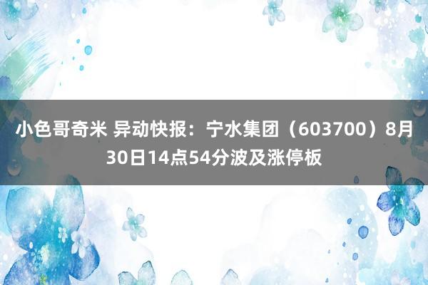 小色哥奇米 异动快报：宁水集团（603700）8月30日14点54分波及涨停板