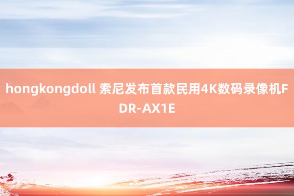 hongkongdoll 索尼发布首款民用4K数码录像机FDR-AX1E