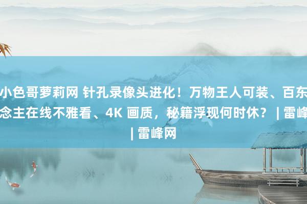 小色哥萝莉网 针孔录像头进化！万物王人可装、百东说念主在线不雅看、4K 画质，秘籍浮现何时休？ | 雷峰网