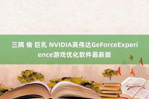 三隅 倫 巨乳 NVIDIA英伟达GeForceExperience游戏优化软件最新版