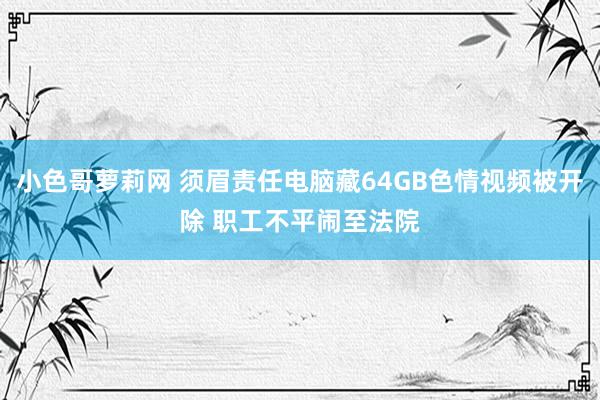 小色哥萝莉网 须眉责任电脑藏64GB色情视频被开除 职工不平闹至法院