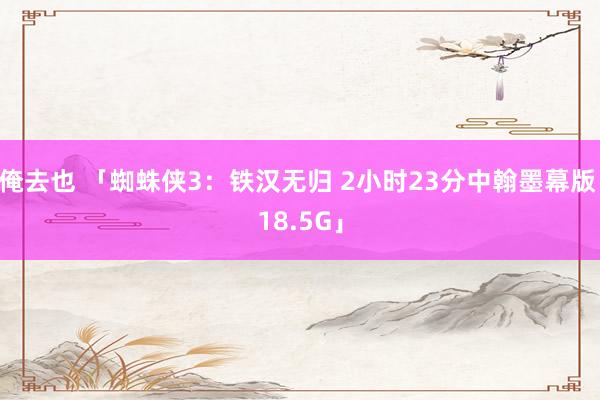 俺去也 「蜘蛛侠3：铁汉无归 2小时23分中翰墨幕版 18.5G」