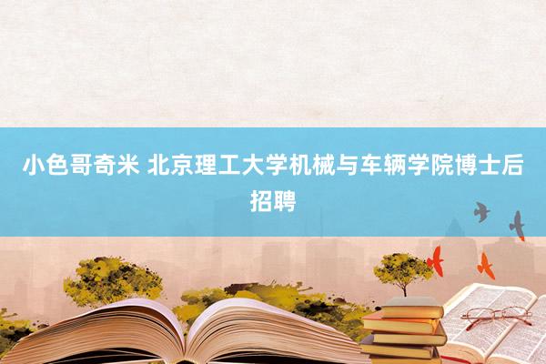 小色哥奇米 北京理工大学机械与车辆学院博士后招聘